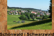 Schnwald / Schwarzwald